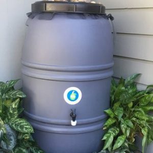 Unpainted Rain Barrels